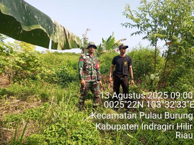 Babinsa Koramil 11/PBR Gencar Patroli Preventif Karhutla di Desa Manunggal Jaya