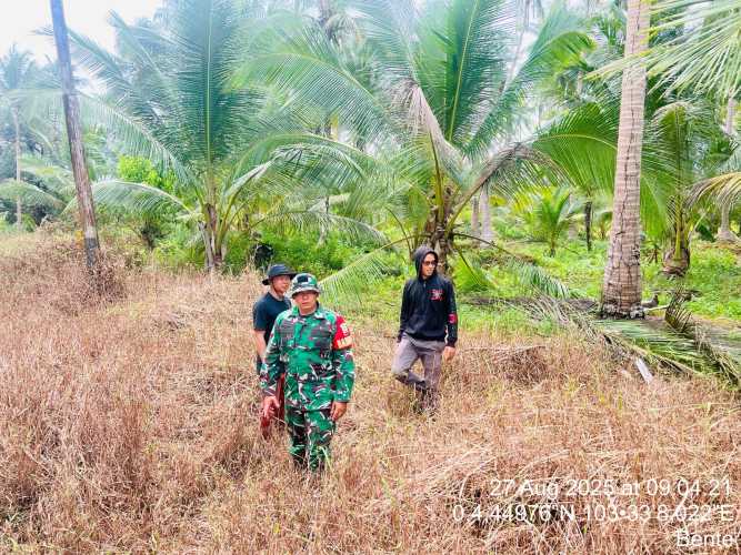 Babinsa Mandah Terjun Ke Lapangan Pastikan Tidak Ada Titik Api