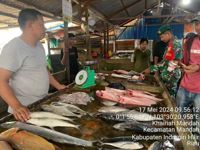 Babiinsa Mandah Memperkuat Keamaman Wilayah