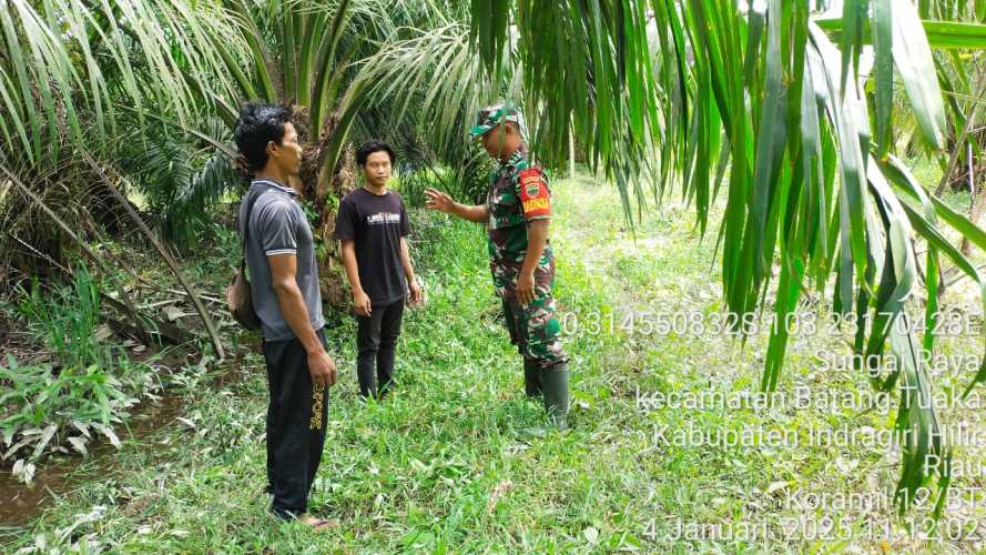 Patroli Hijau, Babinsa Jaga Kelestarian Lahan di Inhil