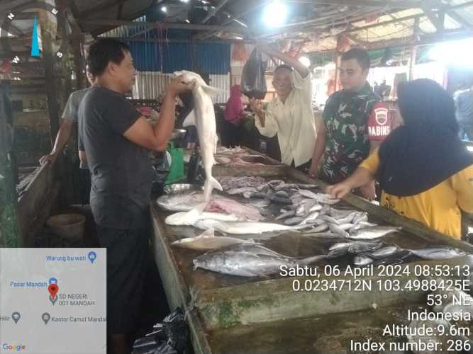 Babinsa  Batangsari Tinjau Ke sejumlah Kios Ikan