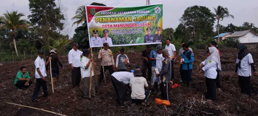 Polsek Pulau Burung  Laksanakan Penanaman Jagung Serentak Kuartal IV   Wujud Nyata Dukungan Polri terhadap Swasembada Pangan
