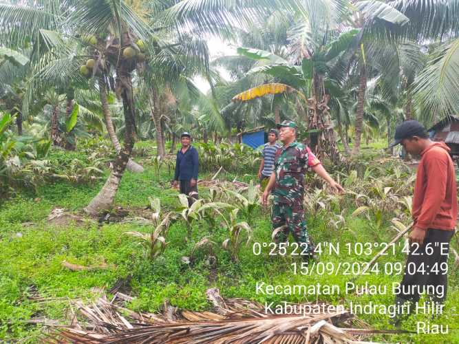 Babinsa Pulau Burung Menjaga Kawasan Lahan Binaan Terhadap Timbulnya Karhutlah