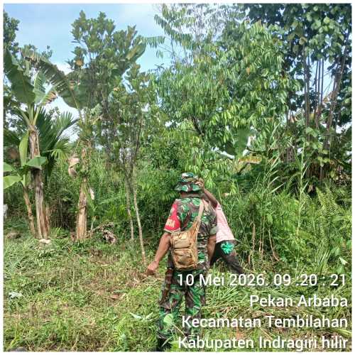 Waspada Karhutla, Babinsa Koramil 01/Tbh Intensifkan Patroli Pencegahan di Wilayah Pekan Arba