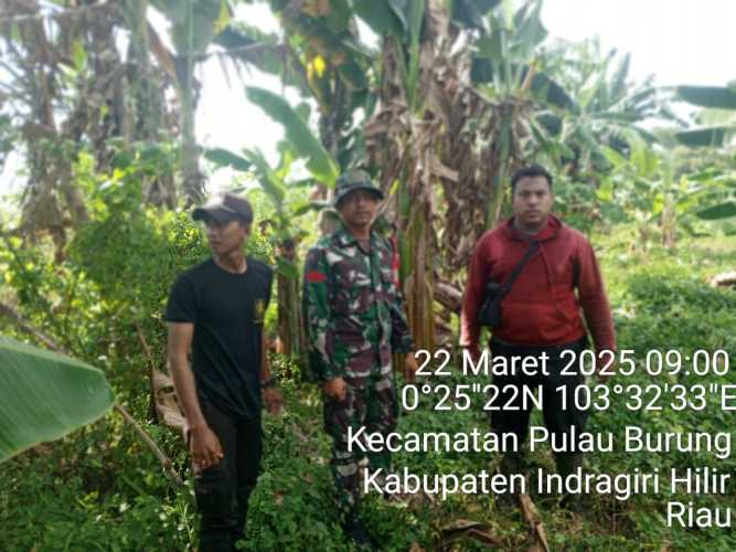 Babinsa Koramil 11/PBR Pimpin Patroli Karhutla, Pastikan Wilayah Aman dari Kebakaran
