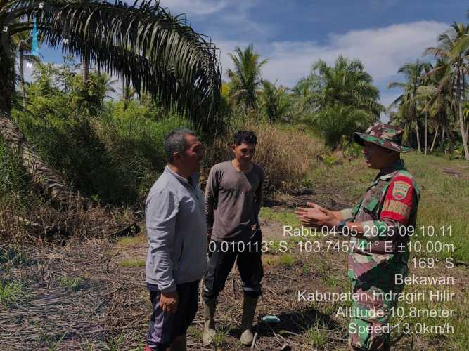 Babinsa KORAMIL 08/Mandah Proaktif Jaga Kelembaban Lahan Antisipasi Musim Kemarau