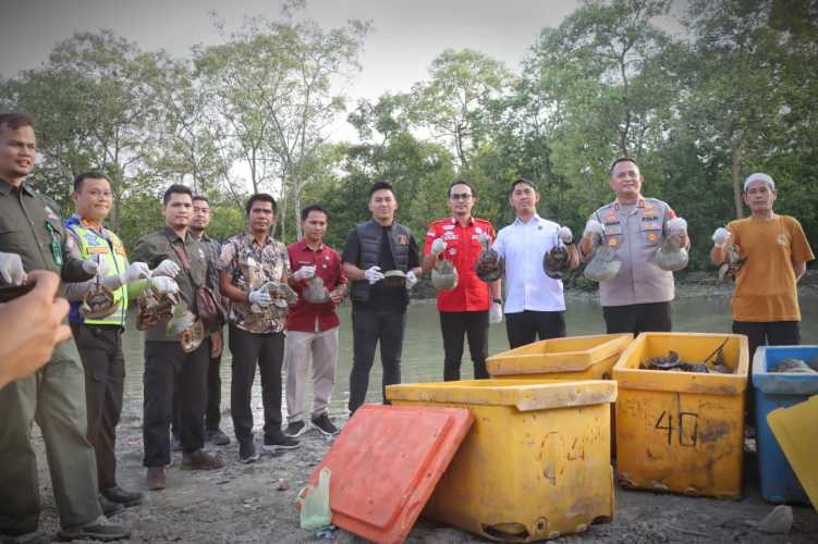 Selamatkan Satwa Dilindungi, Kapolres Batu Bara Pimpin Pelepasan 300 Ekor Belangkas di Pantai Sejarah Batu Bara