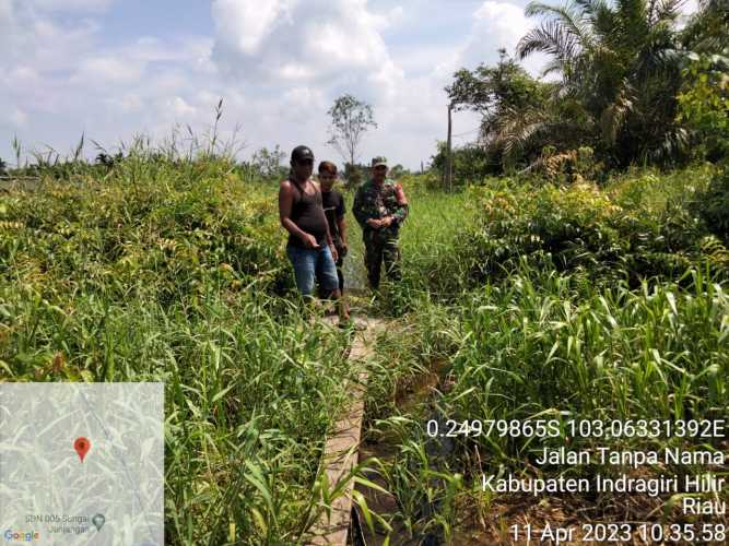 Serda Nasir Siagian Kelola Hutan Lokal dari Karhutlah