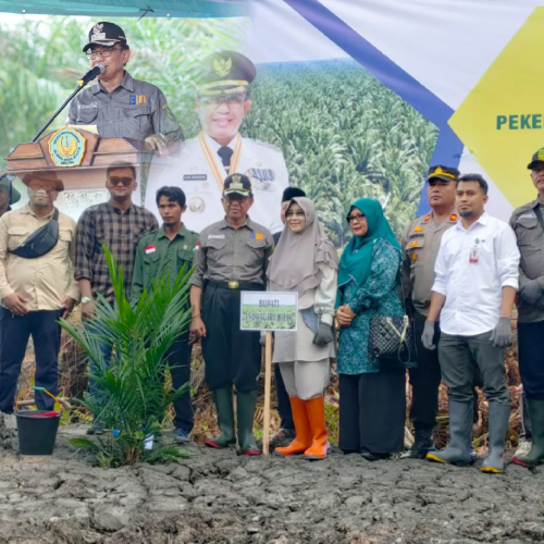 Bupati Inhil H.M. Wardan Bersama Ketua TP.PKK Laksanakan Tanam Perdana Kelapa Sawit Program PKSP