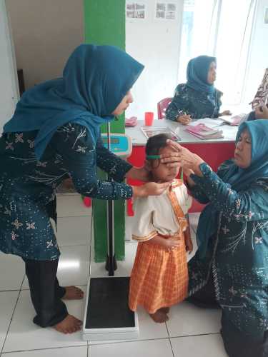 Posyandu Jaya Kusuma Dampingi Kader Posyandu dan TP PKK Desa Sri Danai