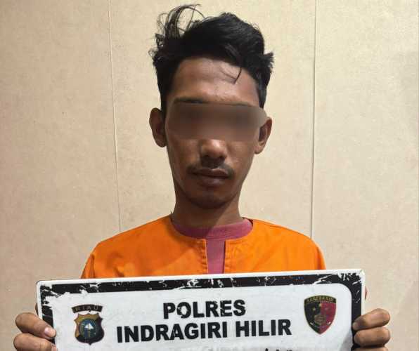 Pelaku Pembakar Lahan di Keritang Diamankan Polisi