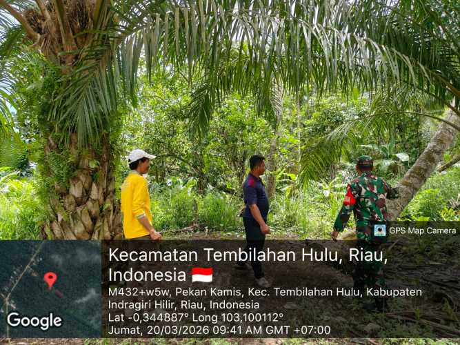 Babinsa Serda Miskal Laksanakan Objektivitas Penanganan Tapal Batas Wilayah Desa Pekan Kamis