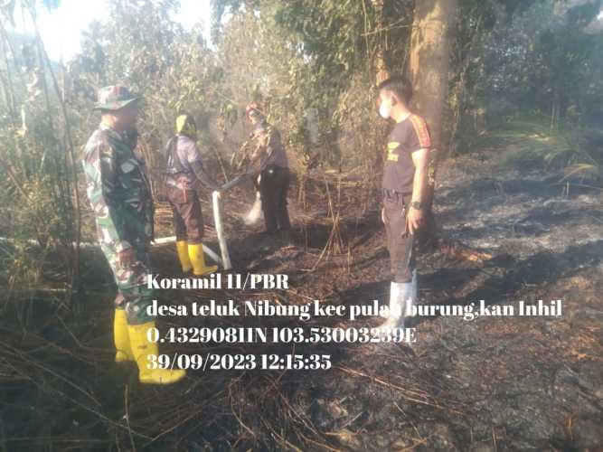 Terjadi Karhutlah di Parit Bengkok,Babinsa Pulau Burung Lakukan Pendinginan di Hari kedua