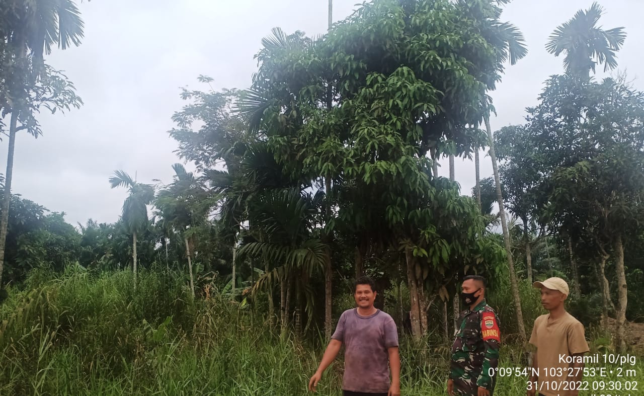 Koptu J.Manurung Babinsa Koramil 10/Pelangiran Sertakan Masyarakat dalam Pengawasan Lahan