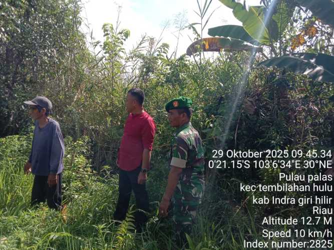 Babinsa Koramil 01/Tembilahan Gencar Patroli Tapal Batas di Desa Pulau Palas