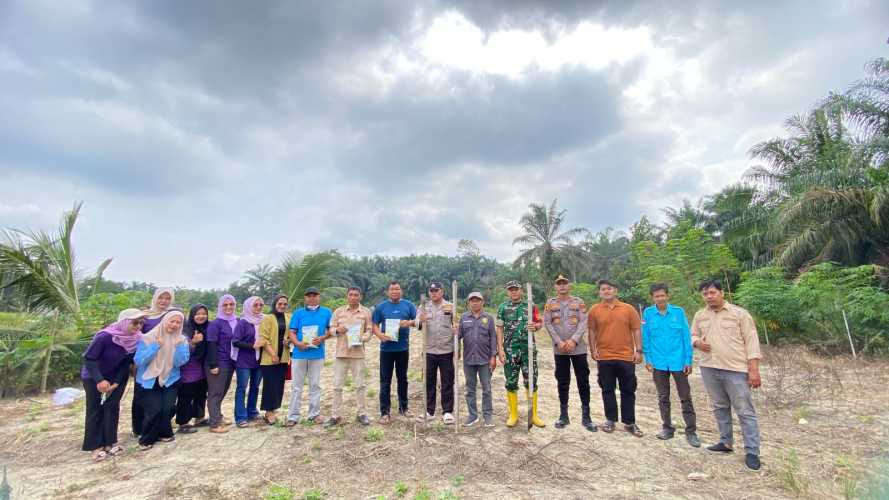 Polsek Benai Jawab Tantangan Ketahanan Pangan, 1 Hektar Lahan Marsawa Siap Panen Jagung Pipil