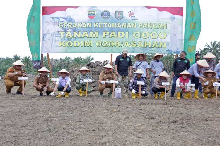 Dandim 0208 Asahan Bersama Forkopimda Laksanakan Tanam Padi Gogo Tahap II