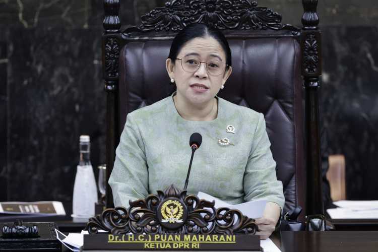 Karhutla Riau: Puan Maharani Sebut Butuh Sinergi Kuat Semua Stakeholder