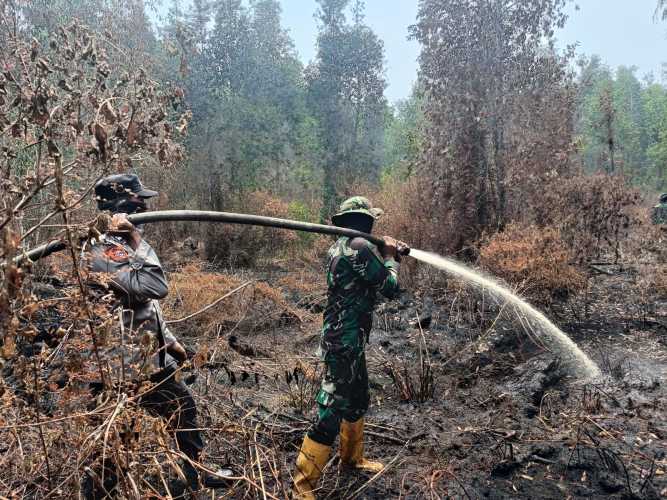 Asap Tipis Masih Muncul, Kodam XIX/Tuanku Tambusai Maksimalkan Pendinginan Karhutla Pelalawan