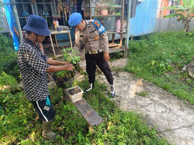 Personel Polsek Enok Dorong Produktivitas Lahan Pekarangan Warga untuk Dukung Ketahanan Pangan
