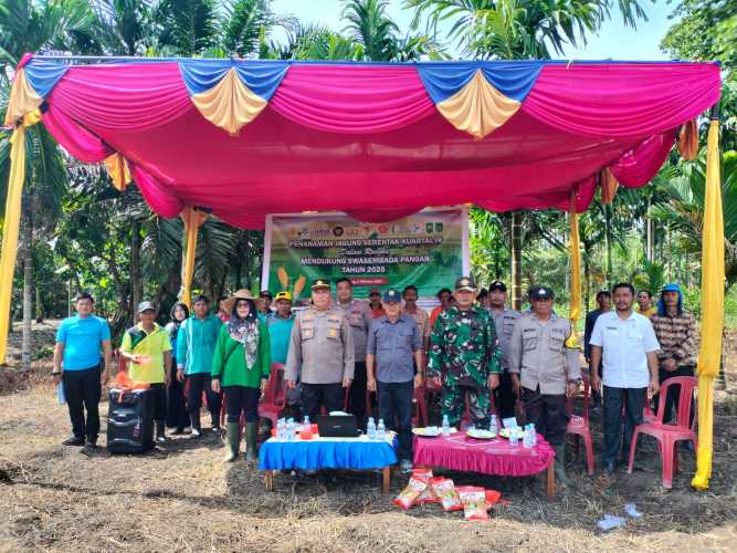 Kapolsek Gaung Bersama Forkopincam Ikuti Live Streaming dan Penanaman Jagung Serentak Kuartal IV Dukung Swasembada Pangan 2025