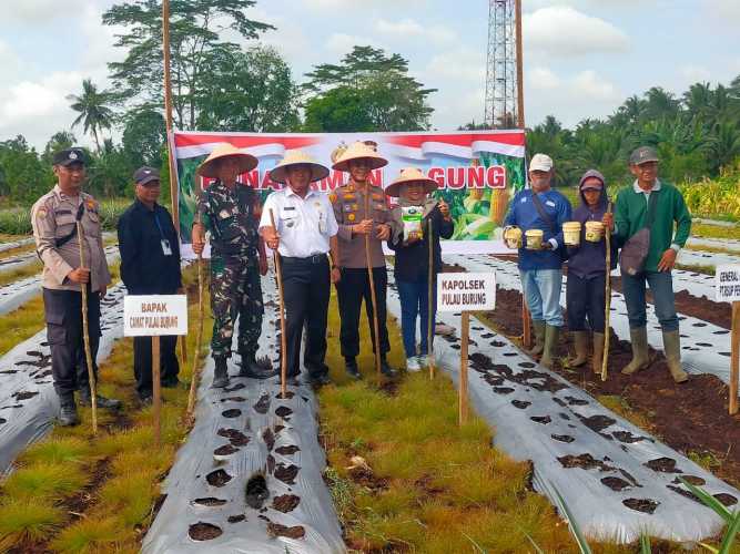 Serda Hendra Kardi Wakili Danramil Laksanakan Penanakan Jagung Kuartal 1