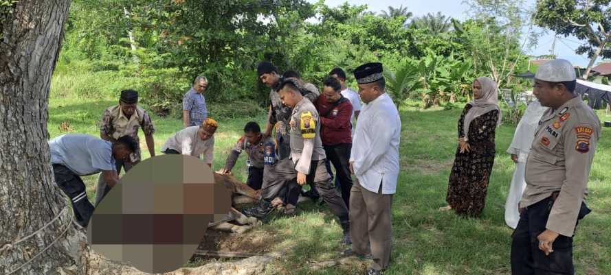 Kapolsek Labuhan Ruku dan Personil Laksanakan Penyembelihan Hewan Qurban Idul Adha 1446 H