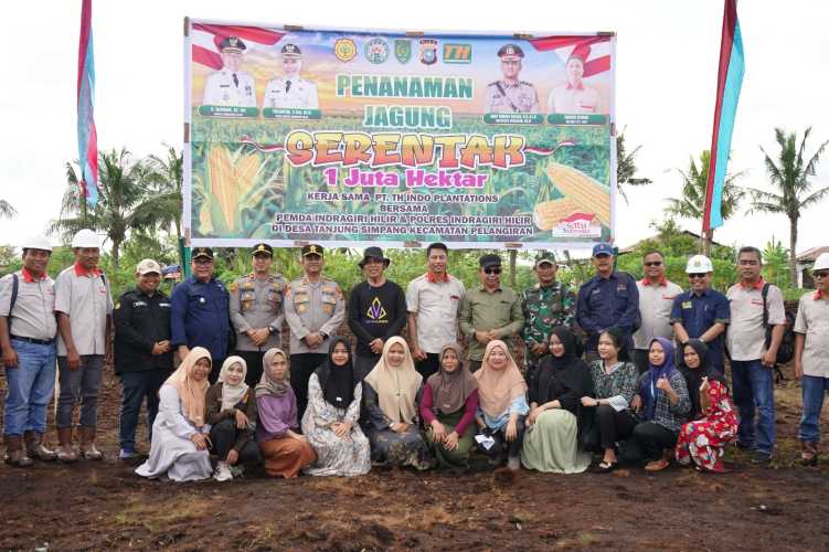 Selaras dengan program nasional Ketahanan Pangan, PT. THIP laksanakan penanaman jagung serentak 1 juta hektar.