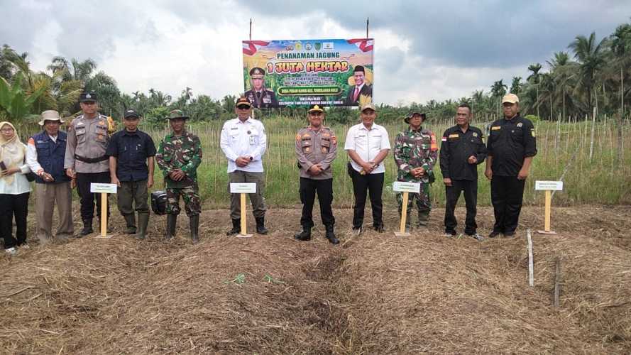 Kegiatan Penanaman Jagung di Desa Pekan Kamis Dukung Swasembada Pangan
