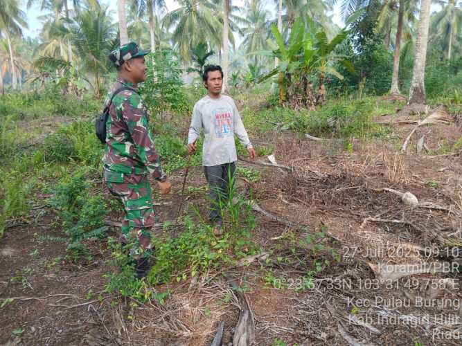Babinsa Koramil 11/Pulau Burung Lakukan Deteksi Titik Api di Wilayah Perkebunan Warga