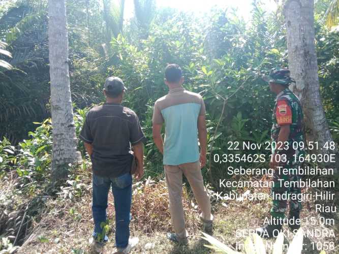 Serda Oky candra Rutin dalam Patroli Karlahut