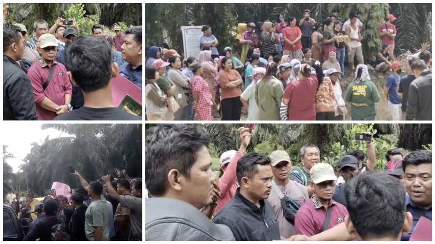 Tanpa Dasar Yang Jelas, Penerima SPK Ingin Menguasai Lahan Perkebunan Masyarakat