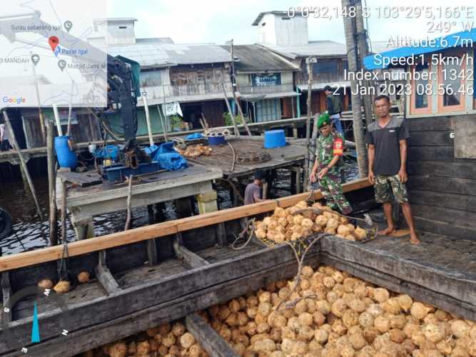 Babinsa Mendatangi Para Pengusaha Kelapa