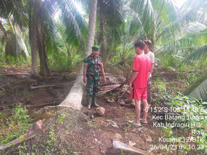 Sertu Syamsir  Prioritaskan Menjaga Kelestarian  Lingkungan