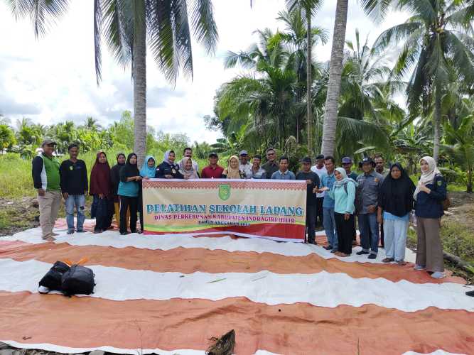 Disbun Inhil Gelar Sekolah Lapang Bagi Pekebun di Desa Tekulai Bugis