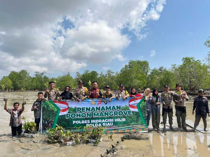 Sempena Hari Mangrove Sedunia dan Mendukung Program Green Policing Kapolda Riau, Polsek Concong Tanam 250 Bibit Mangrove di Pinggir Pantai