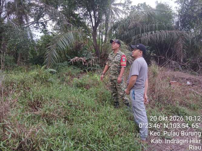 Perkuat Pembinaan Wilayah Terluar, Babinsa Koramil 11/PBR Sisir Koordinat Perbatasan di Pulau Burung