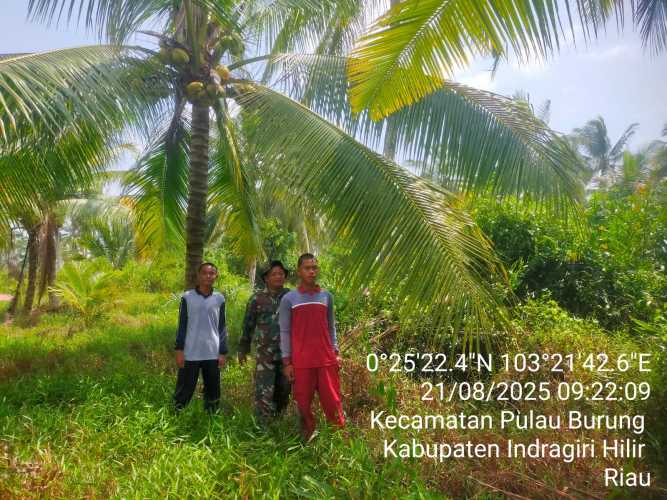 Babinsa Koramil 11/Pulau Burung  Gencar Patroli, Optimalkan Pencegahan Karhutla di Wilayah Pulau Burung