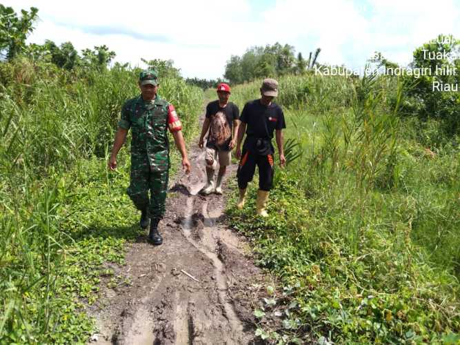 Serda Safrijon Menjadi Mediator Penanganan Karhutlah