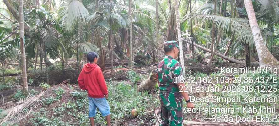 Babinsa Carikan Solusi Penanganan Karhutlah