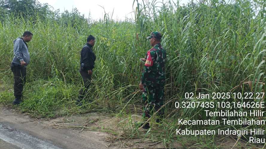 Patroli Karhutla,Babinsa Koramil 01/TBH Pastikan Wilayah Bebas Api