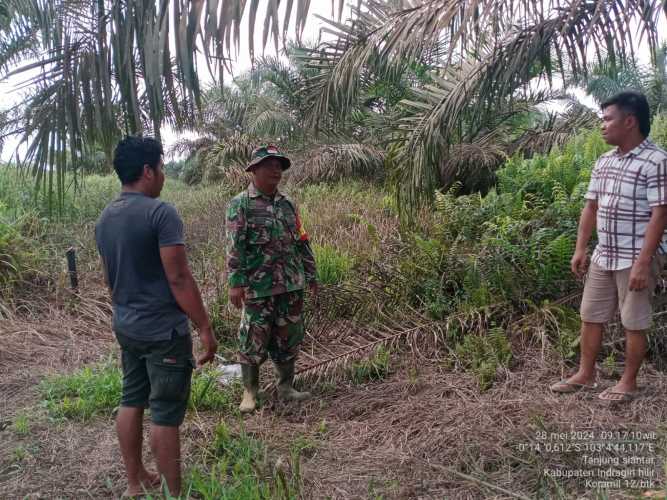 Serda Sukiran Fokus Pembinaan Jaring Karhutlah