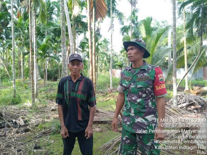 Babinsa Sungai Beringin Patroli dan Sosialisasi Karhutlah Rutin