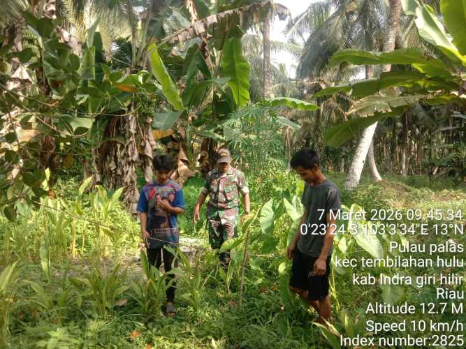 Babinsa Koramil 01/Tembilahan Laksanakan Patroli Tapal Batas Wilayah Desa Pulau Palas