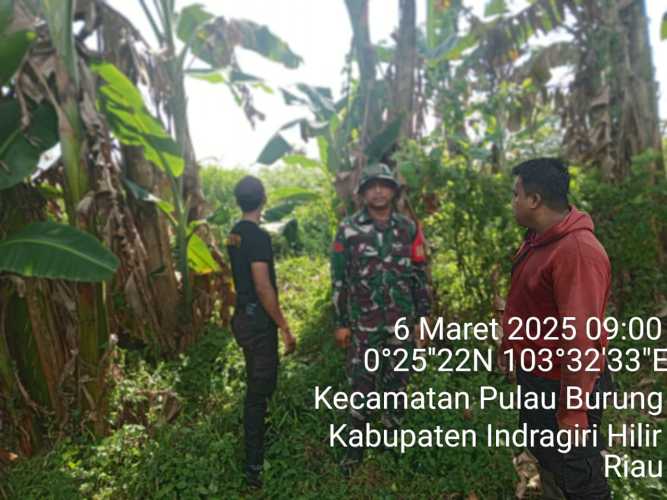 Babinsa Koramil 11/PBR Lakukan Patroli Pencegahan Karhutla di Desa Manunggal Jaya, Situasi Aman dan Terkendali