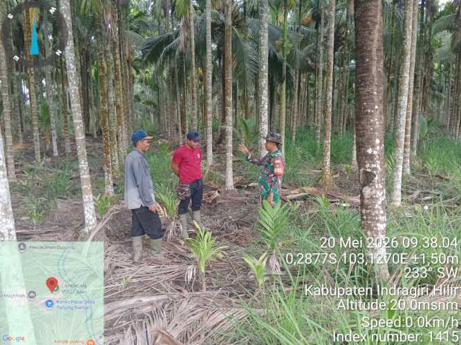 Babinsa Tanjung Siantar Pasang Penanda Tapal Batas, Pastikan Wilayah Aman dari Karhutla