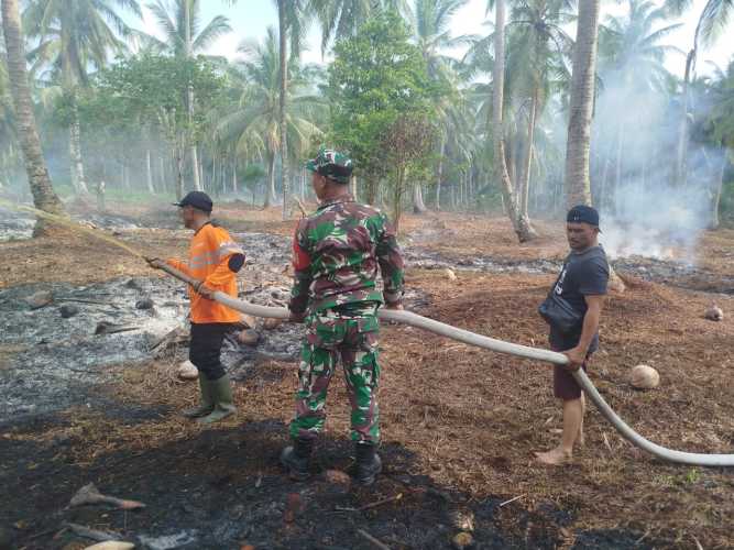 Danramil Pulau Burung Puji Respon Cepat PT RSUP Tangani Karhutla