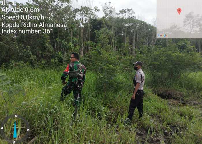 Bersama RPK Setempat,Kopda Ridho Telusuri Lahan Konsesi