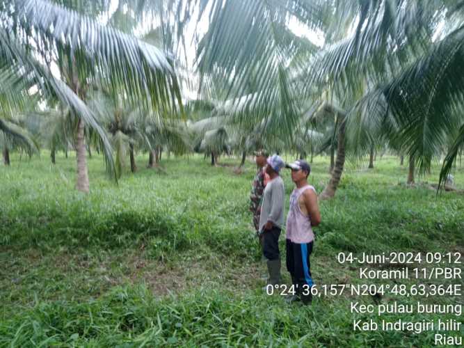 Serda Hendra Kardi Meminimalisir Daerah Rawan Karhutlah