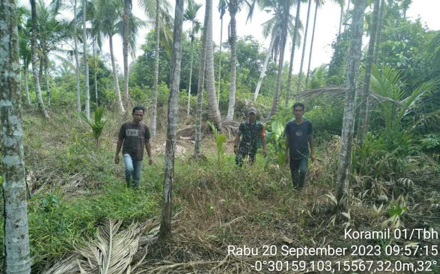 Babinsa Sungai Perak Laksanakan Rutinitas Patroli Karhutla